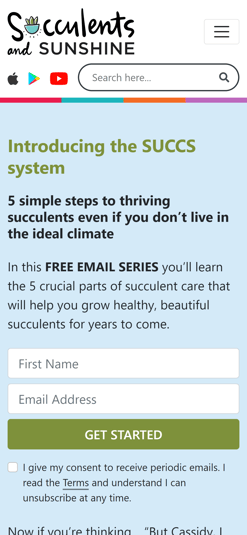 Succulents and Sunshine website screenshot